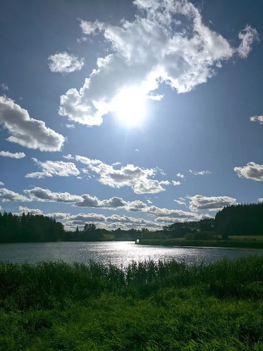 Trafton Lake Campground 4