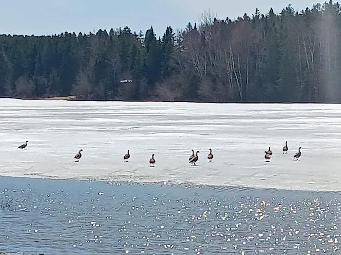 Trafton Lake Campground 6