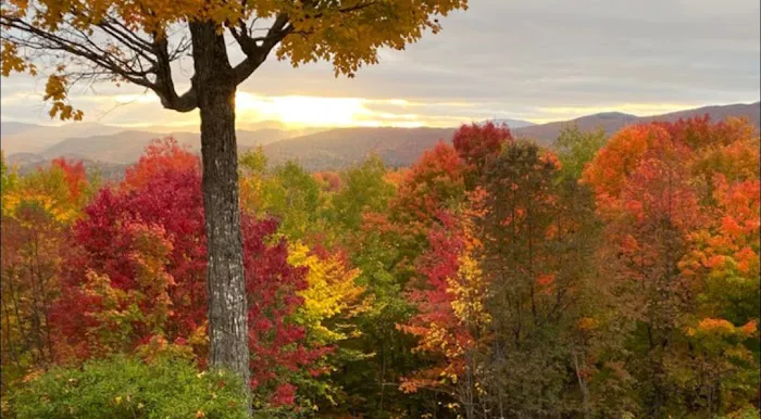 ROUTE 11 RV SITES 2
