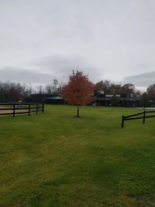 Back Forty Ranch 7