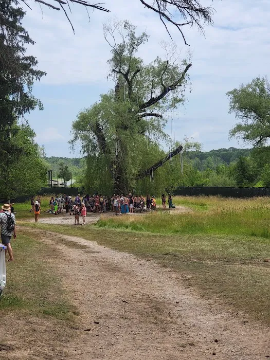 Camp Higher Love 2