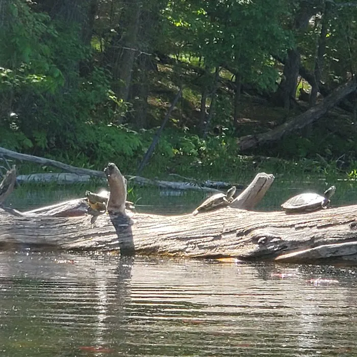 Hiawatha Beach Campsite, Owasippe Scout Reservation 3