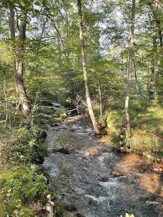Rothrock State Forest Campsite #3 2
