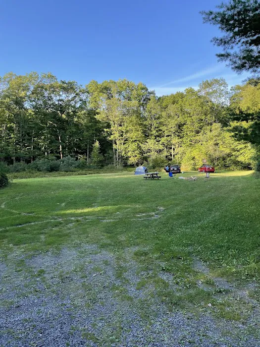 Rothrock State Forest Campsite #3 1