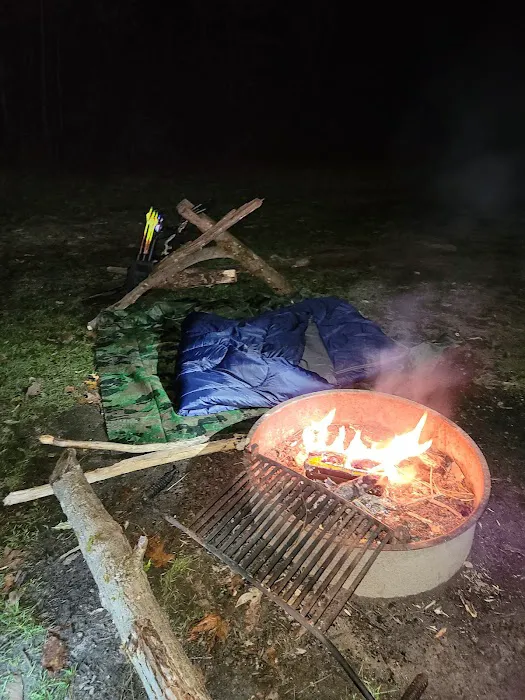 Rothrock State Forest Campsite #3 4