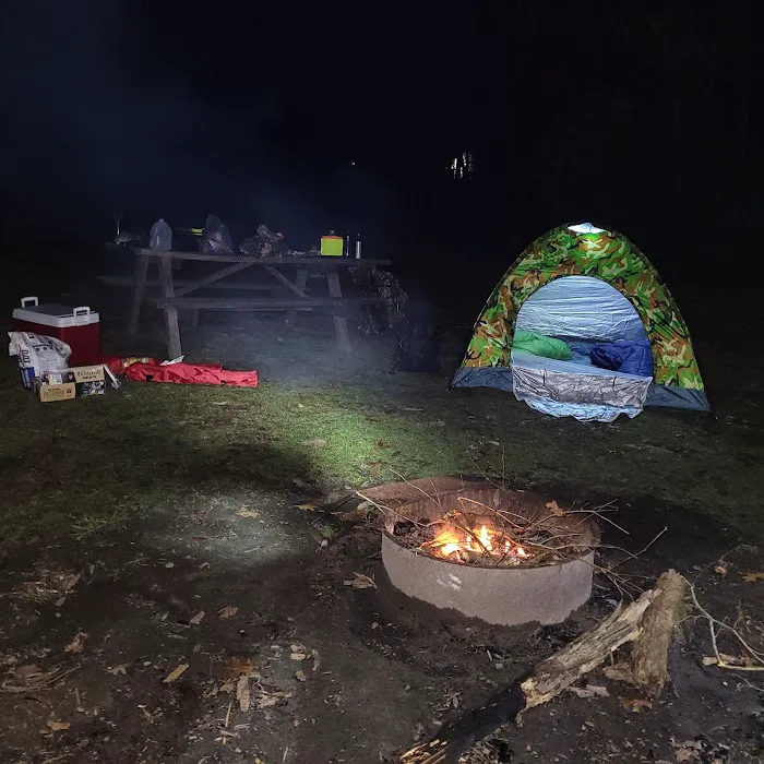 Rothrock State Forest Campsite #3 7