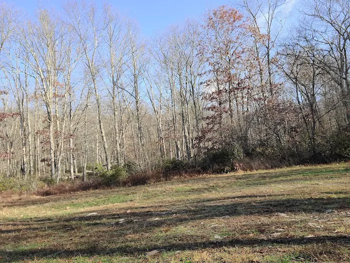 Rothrock State Forest Campsite #3 6