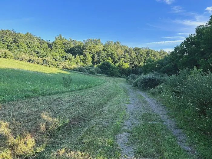 Wilson’s Boondock Hollow 9