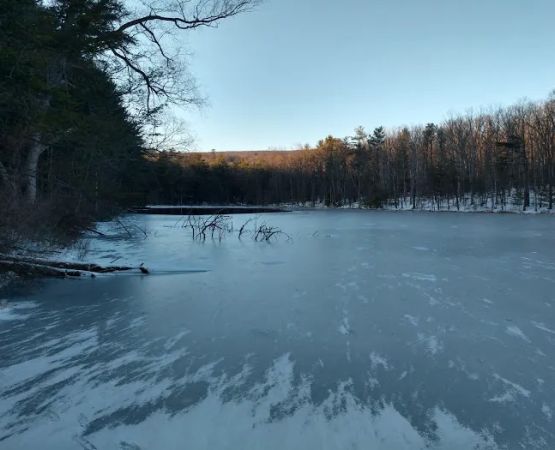 Camp Golden Pond