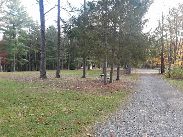 Camp Golden Pond 5