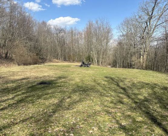 Rothrock State Forest Campsite #6