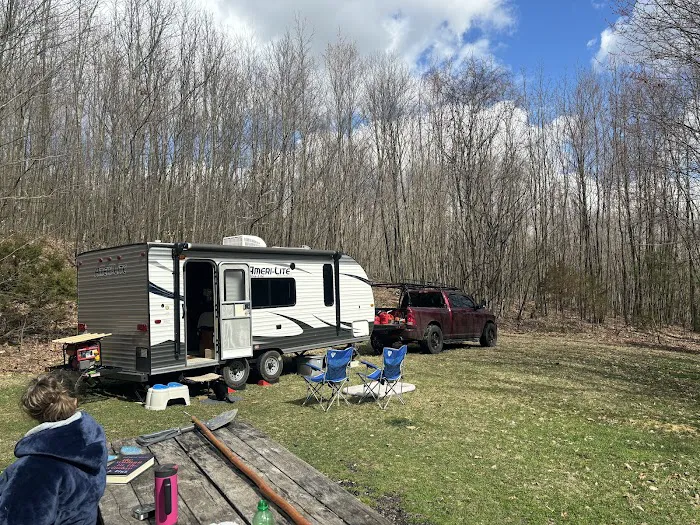 Rothrock State Forest Campsite #6 9