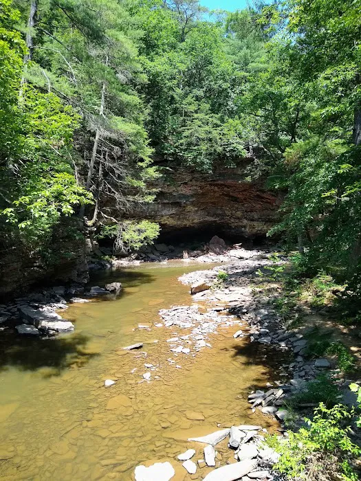 Rothrock State Forest Campsite #1 2