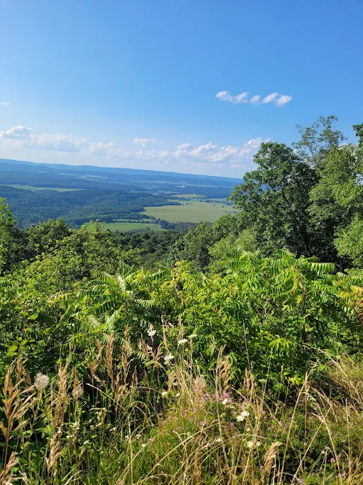 Rothrock State Forest Campsite #1 1