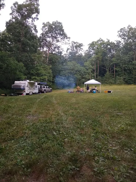 Rothrock State Forest Campsite #1 6