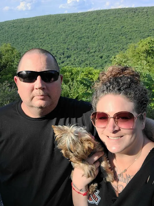Rothrock State Forest Campsite #1 8