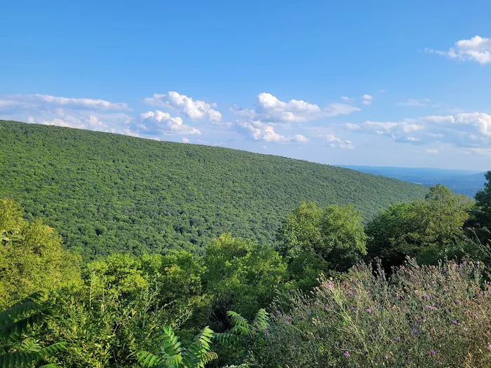 Rothrock State Forest Campsite #1 9
