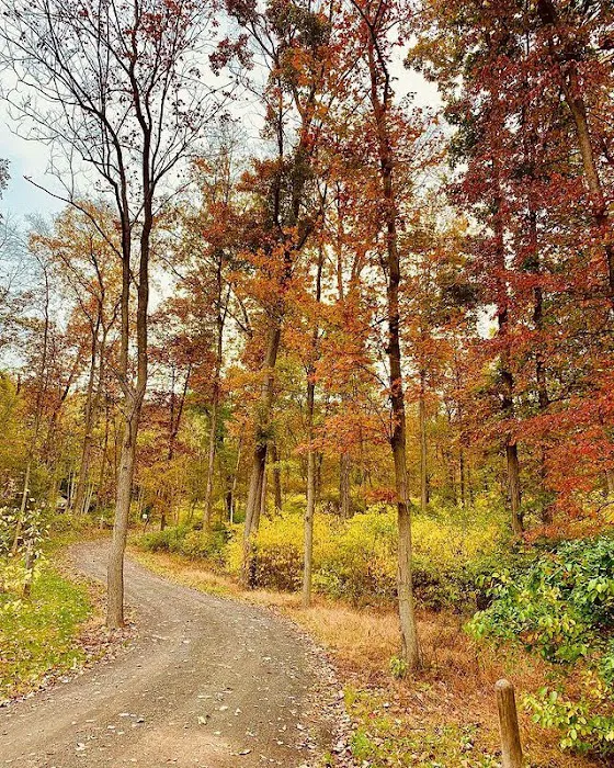 Airydale Retreat 6