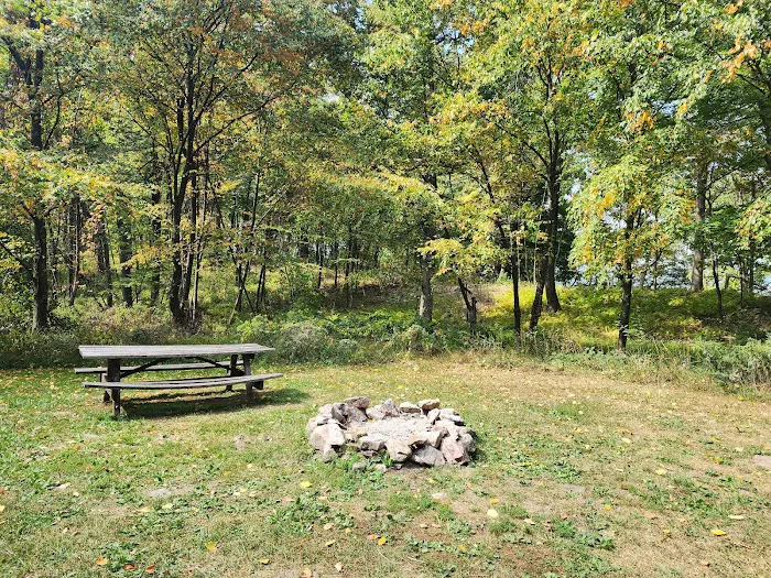 Rothrock State Forest Campsite #2 1