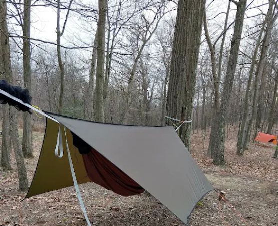 Rothrock State Forest Campsite #2