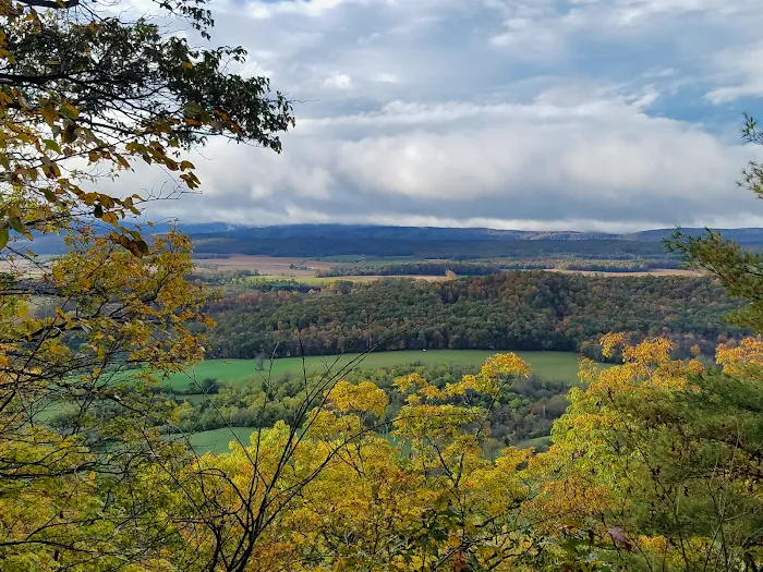 Rothrock State Forest Campsite #2 2