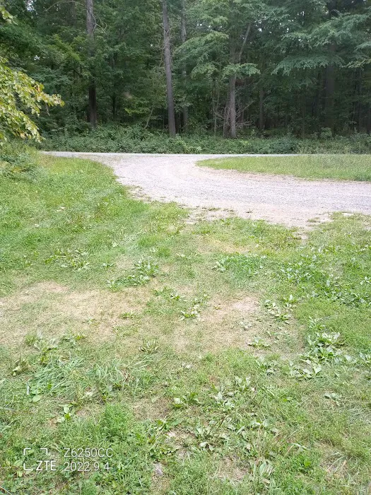 Rothrock State Forest Campsite #2 3