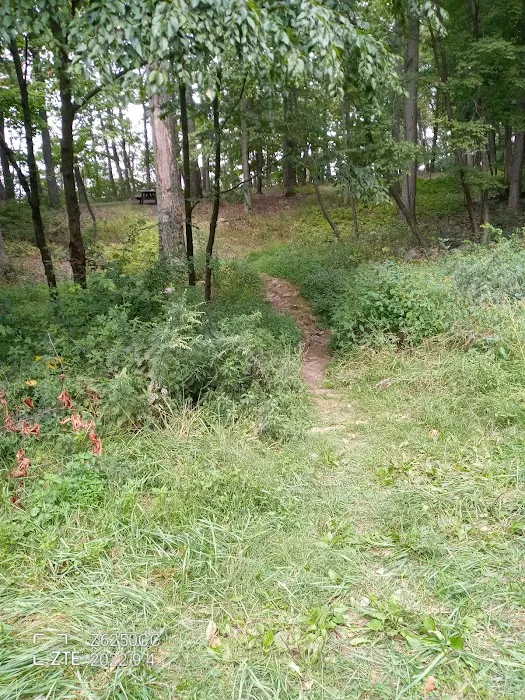 Rothrock State Forest Campsite #2 9