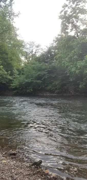 Lazy Dayz Riverfront Campground 3