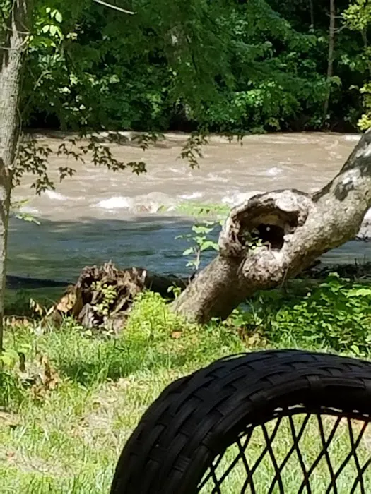 Lazy Dayz Riverfront Campground 7