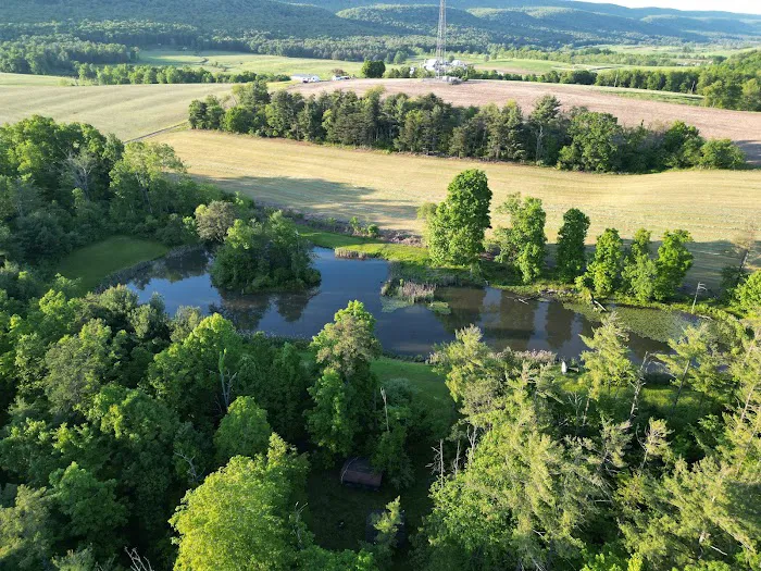 Hartman Center Campground and Retreat 8