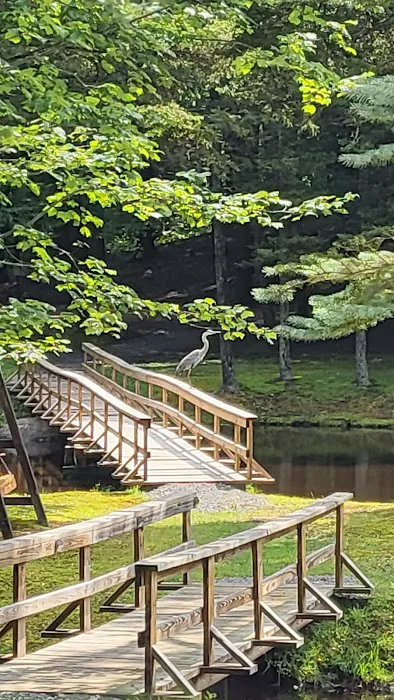 Cold Brook Campsites 2