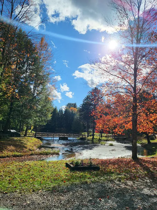 Cold Brook Campsites 1