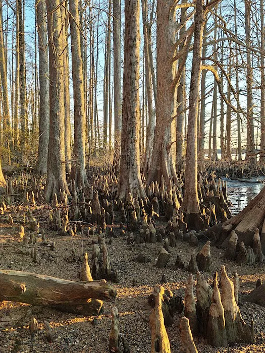Chickahominy wildlife Management 0