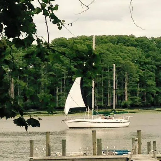 Riverside Camp and Marina 0
