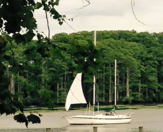 Riverside Camp and Marina