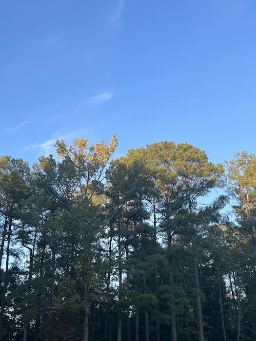 Cattail Creek Campground 7