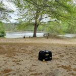 Blackwater Birds and Bees