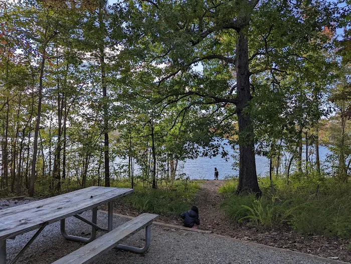 Rudds Creek Campground 3