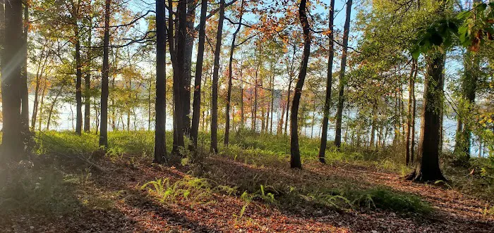 Rudds Creek Campground 6