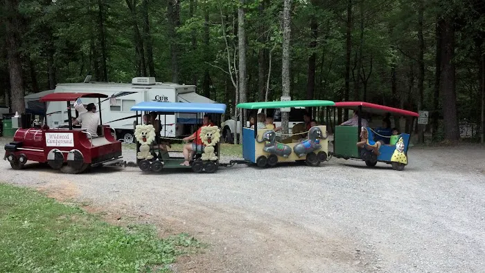 Lynchburg / Blue Ridge Parkway KOA Holiday 9