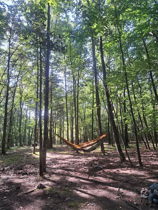 Hickory Lake Campground 7
