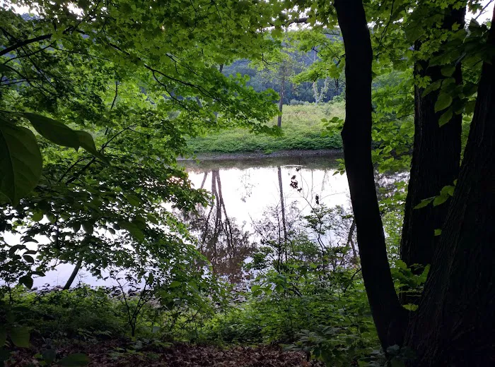 Driftstone Campground 9