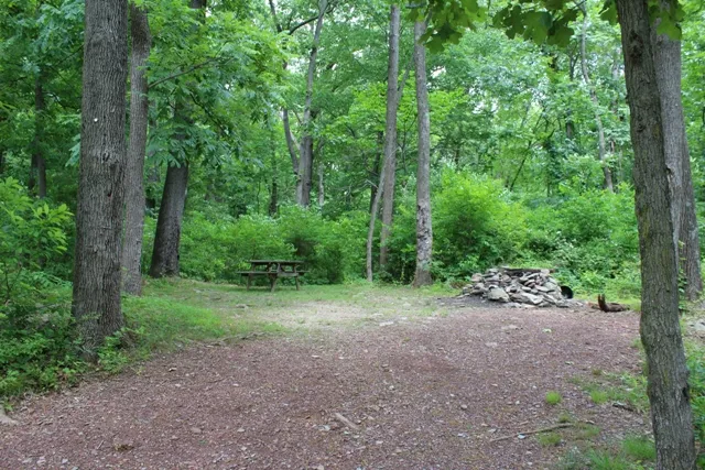 Mountainview Campground 1