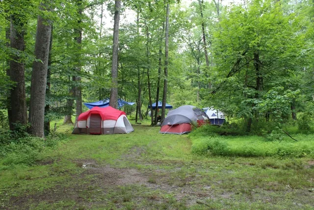 Mountainview Campground 2