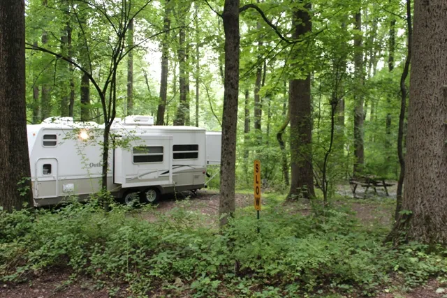 Mountainview Campground 7