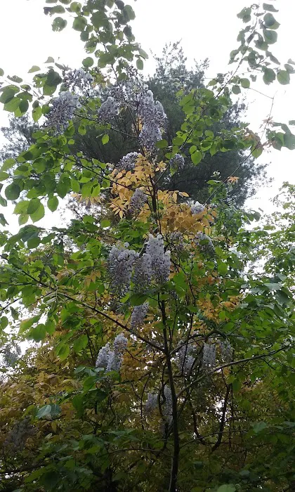 Hookie's Grove 3