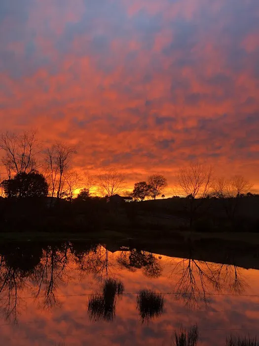 Irish Valley Campground 2