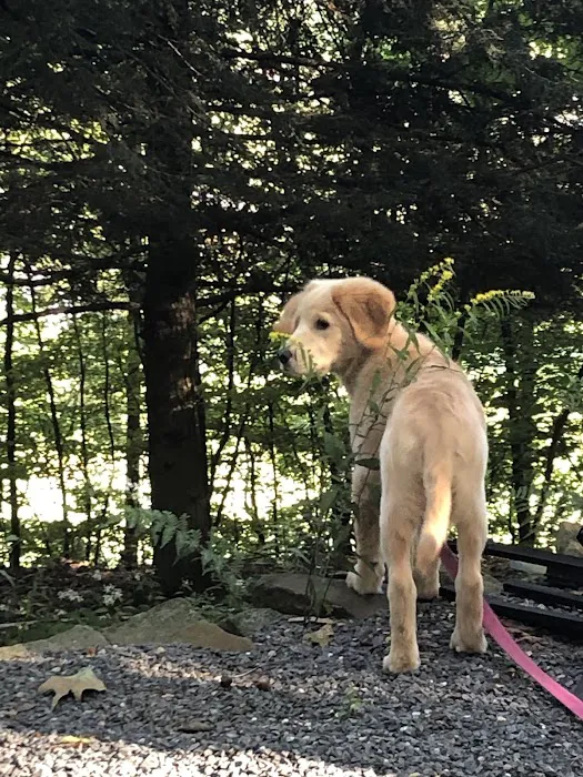 Irish Valley Campground 7