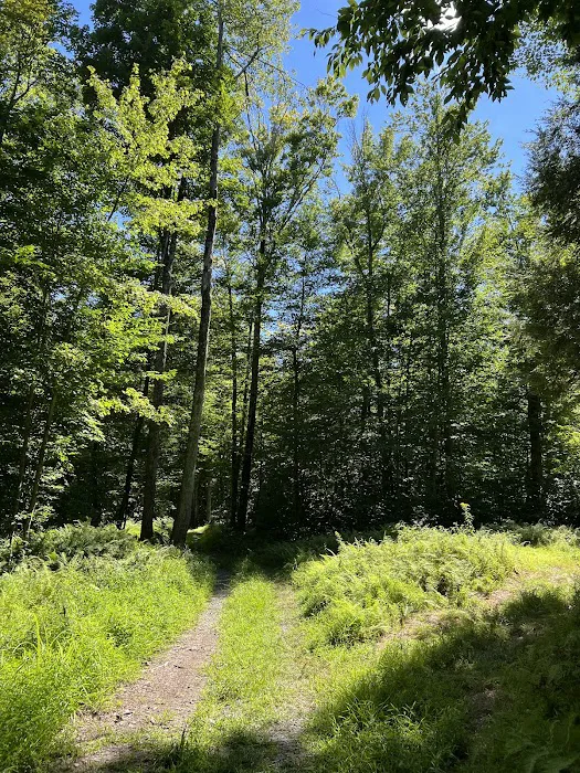 Secluded Acres Campground 7