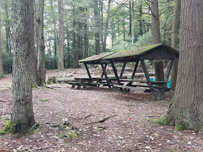 Five Mile Point Group Campground 0
